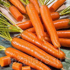 Морковь Ранняя сладкая