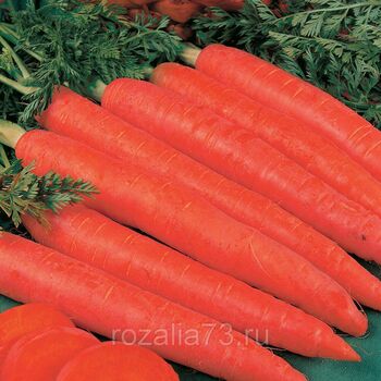Морковь (драже) Красный великан