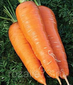 Морковь (драже) МО