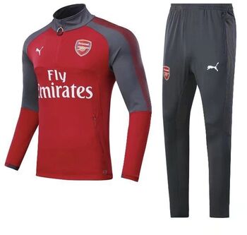 Спортивный костюм Puma FC Arsenal