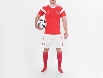 Футбольная форма Adidas сборная России