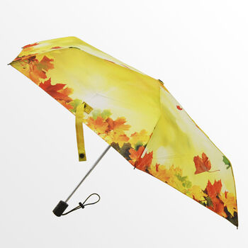 Женский зонт "Осень"